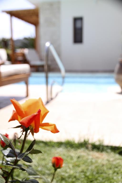Eve Pissouri Veriko Villa Oda fotoğraf